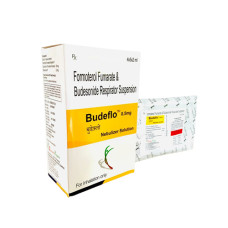 Budeflo 0.5mg Respules 2 ml